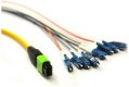 MULTI-FIBER PATCHCORD - MULTI-FIBER PATCHCORD MPO TO 8XLC - 4M